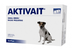 AKTIVAIT Changements Cérébraux/vieillissement Pour Petits Chiens 60 Capsules