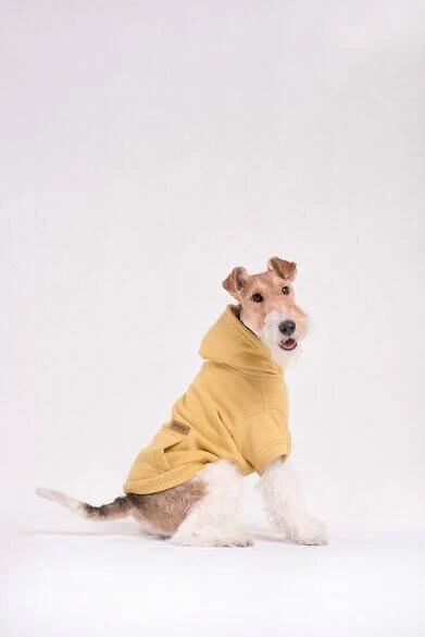 AMIPLAY Sweat-shirt à Capuche Texas Noir 25cm 4 AMIPLAY Sweat-shirt à Capuche Texas Noir 25cm – Image 2