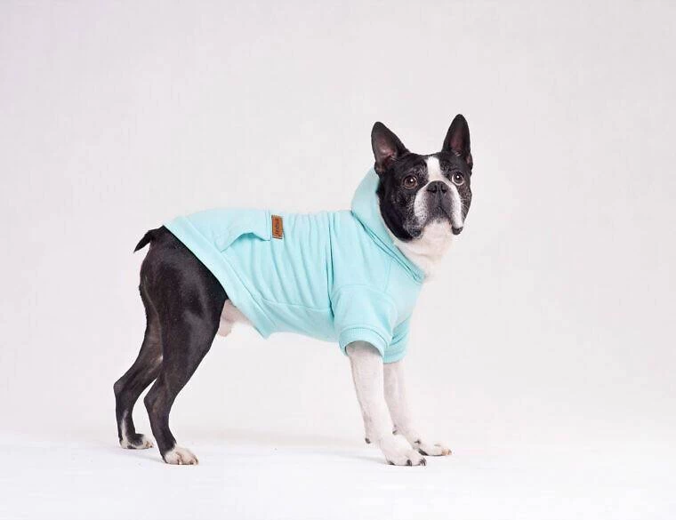 AMIPLAY Sweat-shirt à Capuche Texas Noir 40cm 5 AMIPLAY Sweat-shirt à Capuche Texas Noir 40cm – Image 3