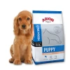 Arion Original Chiot Races Moyennes Saumon & Riz 3kg -L'effet animalerie de la maison. fre pl Arion Original Chiot Races Moyennes Saumon Riz 3kg 15621 1
