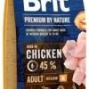 Brit Premium By Nature Adult M Avec Du Poulet 15kg -L'effet animalerie de la maison. fre pl Brit Premium By Nature Adult M avec du poulet 15kg 9707 1