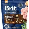 Brit Premium By Nature Senior S+M Avec Poulet 1kg X2 -L'effet animalerie de la maison. fre pl Brit Premium By Nature Senior S M avec poulet 1kg x2 30754 1