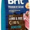 Brit Premium By Nature Sensitive Avec Agneau Et Riz 15kg + Surprise Gratuite Pour Chien -L'effet animalerie de la maison. fre pl Brit Premium By Nature Sensitive Avec Agneau Et Riz 15kg Surprise gratuite pour chien 27145 1