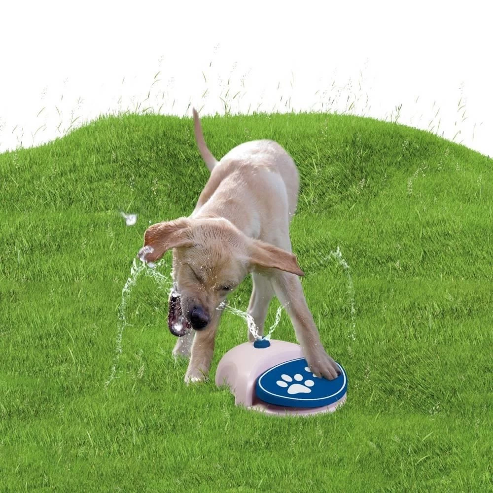 Devant -L'effet animalerie de la maison. fre pl CoolPets SPLASH fontaine pour chien 30508 2