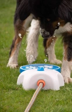CoolPets SPLASH Fontaine Pour Chien 7 CoolPets SPLASH Fontaine Pour Chien -L'effet animalerie de la maison. fre pl CoolPets SPLASH fontaine pour chien 30508 3