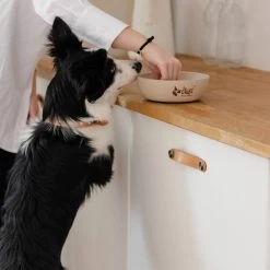 DINGO- Bol Antidérapant En Fibre De Bambou - 1500ml 10 DINGO- Bol Antidérapant En Fibre De Bambou - 1500ml -L'effet animalerie de la maison. fre pl DINGO Bol antiderapant en fibre de bambou 1500ml 29828 3