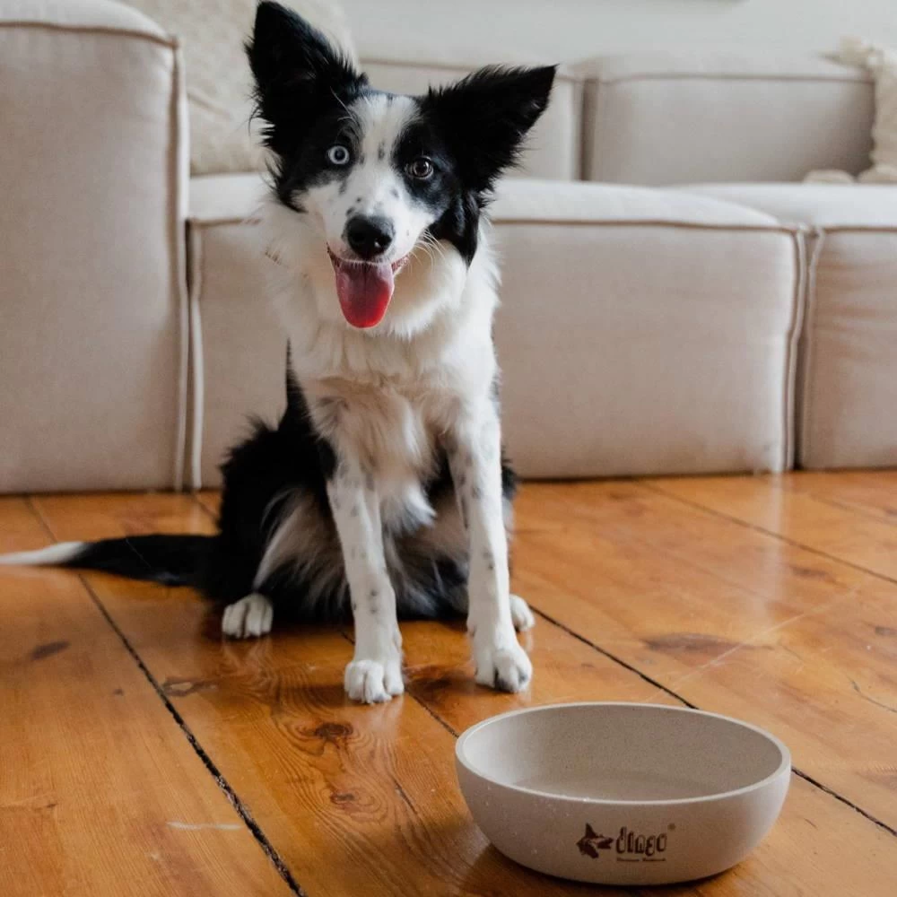 DINGO- Bol Antidérapant En Fibre De Bambou - 1500ml 6 DINGO- Bol Antidérapant En Fibre De Bambou - 1500ml – Image 4