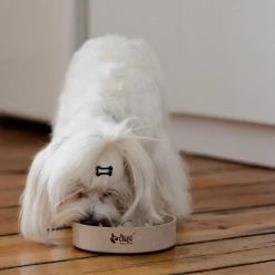 DINGO- Bol Lent En Fibre De Bambou- 1430 Ml 8 DINGO- Bol Lent En Fibre De Bambou- 1430 Ml -L'effet animalerie de la maison. fre pl DINGO bol lent en fibre de bambou 1430 ml 29823 3