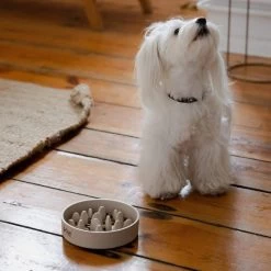 DINGO- Bol Lent En Fibre De Bambou- 1430 Ml 9 DINGO- Bol Lent En Fibre De Bambou- 1430 Ml -L'effet animalerie de la maison. fre pl DINGO bol lent en fibre de bambou 1430 ml 29823 4