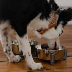 DINGO-set D'alimentation -2x1120 Ml -L'effet animalerie de la maison. fre pl DINGO set dalimentation 2x1120 ml 29836 4