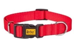 Dingo Collier à Sangle Pour Chien Avec Fermoir En Plastique Rouge 45cm