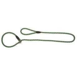 Dingo Laisse Pour Chien En Anneau Magic Vert/Bleu 170cm