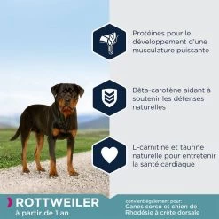 EUKANUBA Breed Specific Rottweiler 12kg 10 EUKANUBA Breed Specific Rottweiler 12kg -L'effet animalerie de la maison. fre pl EUKANUBA Breed Specific Rottweiler 12kg 15280 4