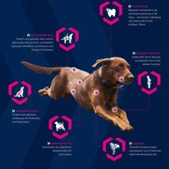 EUKANUBA Breed Specific Rottweiler 12kg + Surprise Gratuite Pour Votre Chien 12 EUKANUBA Breed Specific Rottweiler 12kg + Surprise Gratuite Pour Votre Chien -L'effet animalerie de la maison. fre pl EUKANUBA Breed Specific Rottweiler 12kg Surprise gratuite pour votre chien 27334 5