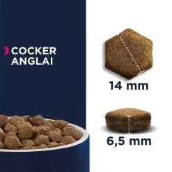 Eukanuba Adult Breed Specific Cocker Spaniel 7,5kg+Barre D'aliments Pour Chiens Premium Hektor à La Volaille 900g Gratuit -L'effet animalerie de la maison. fre pl Eukanuba Adult Breed Specific Cocker Spaniel 7 5kg Barre daliments pour chiens Premium Hektor a la volaille 900g Gratuit 29945 3