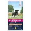 Eukanuba Puppy&Junior Large Breed 15kg+ Surprise Gratuite Pour Votre Chien -L'effet animalerie de la maison. fre pl Eukanuba Puppy Junior Large Breed 15kg Surprise gratuite pour votre chien 27322 2