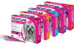 FRONTLINE Tri-Act Pour Chiens 3x6ml 8 FRONTLINE Tri-Act Pour Chiens 3x6ml -L'effet animalerie de la maison. fre pl FRONTLINE Tri Act Pour chiens 3x6ml 8673 2