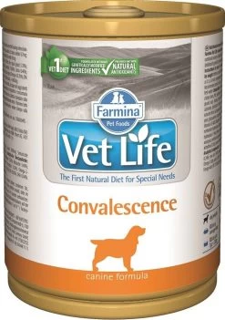 Farmina Vet Life Canine Convalescence 300g X6 -L'effet animalerie de la maison. fre pl Farmina Vet Life Canine Convalescence 300g 9750 1