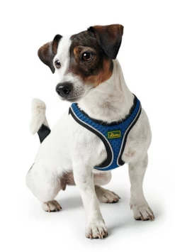 Hunter Hilo Comfort Harnais Pour Chien Bleu Marine Taille M/L 9 Hunter Hilo Comfort Harnais Pour Chien Bleu Marine Taille M/L -L'effet animalerie de la maison. fre pl Hunter Hilo Comfort Harnais pour chien Bleu marine Taille M L 12632 4