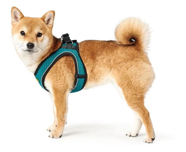 Hunter Hilo Comfort Harnais Pour Chien Turquoise Taille M/L 5 Hunter Hilo Comfort Harnais Pour Chien Turquoise Taille M/L – Image 3