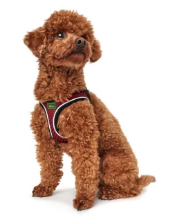 Hunter Hilo Comfort Harnais Pour Chien Rouge Taille S -L'effet animalerie de la maison. fre pl Hunter Hilo Comfort Harnais pour chien rouge Taille S 13103 3
