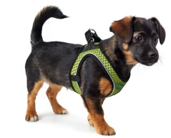 Hunter Hilo Comfort Harnais Pour Chien Vert Citron Taille XXS -L'effet animalerie de la maison. fre pl Hunter Hilo Comfort Harnais pour chien vert citron Taille XXS 16636 3