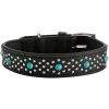 Hunter Madona Collier De Chien En Cuir M- 55 Cm