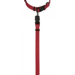 KERBL GoLeyGo 2.0 Ensemble Laisse + Collier Rouge Pour Chien 20mm X 40-65cm, M -L'effet animalerie de la maison. fre pl KERBL GoLeyGo 2 0 Ensemble laisse collier Rouge pour Chien 20mm x 40 65cm M 12878 3