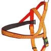 KERBL Harnais Réfléchissant Norvégien 58cm