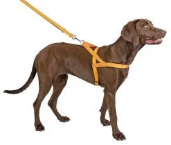 KERBL Harnais Réfléchissant Norvégien 52cm -L'effet animalerie de la maison. fre pl KERBL Harnais reflechissant norvegien 52cm 24669 2