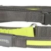 Dingo KERBL Laisse De Course Fluorescente Light & Reflex Jaune 250cm -L'effet animalerie de la maison. fre pl KERBL Laisse de course fluorescente Light Reflex Jaune 250cm 24658 1