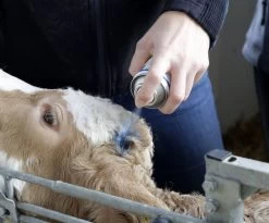 Kerbl Spray Bleu Pour Le Soin De La Peauet Des Sabots, Spray Bleu 200 Ml -L'effet animalerie de la maison. fre pl Kerbl Spray bleu pour le soin de la peau et des sabots Spray bleu 200 ml 27928 2