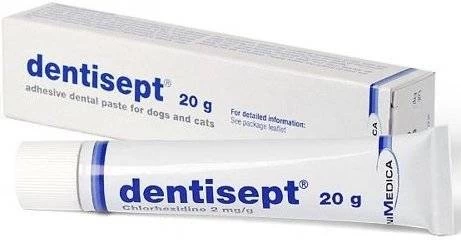 LIVISTO DENTISEPT Dentifrice Adhésif Pour Chiens Et Chats 20g 4 LIVISTO DENTISEPT Dentifrice Adhésif Pour Chiens Et Chats 20g – Image 2