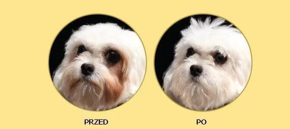 Nature's Protection Superior Care White Dogs Adult Small Breed With Lamb 1,5kg 6 Nature's Protection Superior Care White Dogs Adult Small Breed With Lamb 1,5kg – Image 4