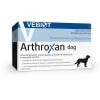Nutrifarm Sp. Z O.o. Vebiot Arthroxan Dog 60 Tablettes -L'effet animalerie de la maison. fre pl Nutrifarm Sp Z O o Vebiot Arthroxan Dog 60 Tablettes 14066 1