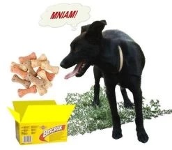 Pedigree Biscrok Biscuits Pour Chiens Adultes Sous Forme D'os Avec De L'agneau, Du Poulet Et Du Bœuf 500g X2 13 Pedigree Biscrok Biscuits Pour Chiens Adultes Sous Forme D'os Avec De L'agneau, Du Poulet Et Du Bœuf 500g X2 -L'effet animalerie de la maison. fre pl Pedigree Biscrok Biscuits Pour chiens adultes sous forme dos avec de lagneau du poulet et du boeuf 500g x2 30143 3