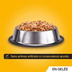 Pedigree Croquettes Humides En Gelée Pour Chiens Adultes Saveurs Variées (boeuf, Poulet, Agneau, Volaille) 40x100g -L'effet animalerie de la maison. fre pl Pedigree Croquettes humides en gelee pour chiens adultes Saveurs variees boeuf poulet agneau volaille 40x100g 10101 6