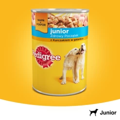 Pedigree Nourriture Humide Pour Chiots Avec Gelée De Poulet 400g X24 -L'effet animalerie de la maison. fre pl Pedigree nourriture humide pour chiots avec gelee de poulet 400g x24 25288 3
