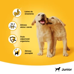 Pedigree Nourriture Humide Pour Chiots Avec Gelée De Poulet 400g X24 -L'effet animalerie de la maison. fre pl Pedigree nourriture humide pour chiots avec gelee de poulet 400g x24 25288 4