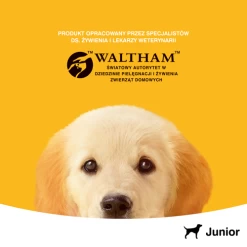 Pedigree Nourriture Humide Pour Chiots Avec Gelée De Poulet 400g X24 -L'effet animalerie de la maison. fre pl Pedigree nourriture humide pour chiots avec gelee de poulet 400g x24 25288 6