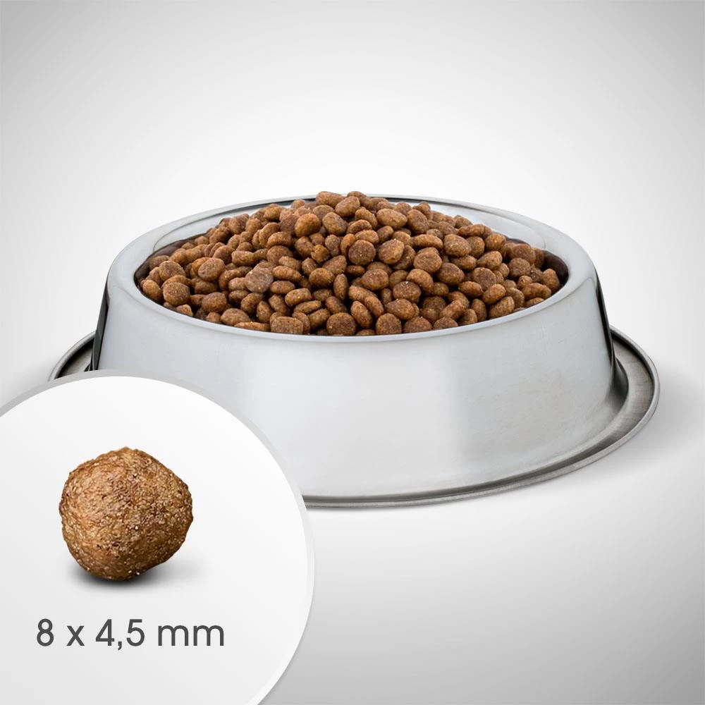 Perfect Fit™ - Aliment Complet Sec Pour Chiots De Petite Race, Riche En Poulet 6kg. 7 Perfect Fit™ - Aliment Complet Sec Pour Chiots De Petite Race, Riche En Poulet 6kg. – Image 5