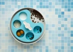 Pet Dream House Spin Palette Blue Medium - Bol Interactif -L'effet animalerie de la maison. fre pl Pet Dream House Spin Palette Blue Medium bol interactif 26102 5