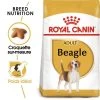 ROYAL CANIN Beagle Adult 12kg -L'effet animalerie de la maison. fre pl ROYAL CANIN Beagle Adult 12kg 16915 1