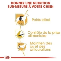 ROYAL CANIN Beagle Adult 12kg -L'effet animalerie de la maison. fre pl ROYAL CANIN Beagle Adult 12kg 16915 4