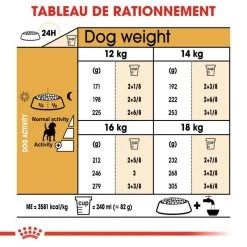 ROYAL CANIN Beagle Adult 12kg -L'effet animalerie de la maison. fre pl ROYAL CANIN Beagle Adult 12kg 16915 5