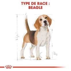 ROYAL CANIN Beagle Adult 12kg -L'effet animalerie de la maison. fre pl ROYAL CANIN Beagle Adult 12kg 16915 6