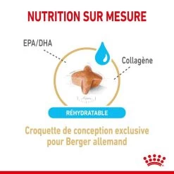 ROYAL CANIN Berger Allemand Adult 5+ 3kg 10 ROYAL CANIN Berger Allemand Adult 5+ 3kg -L'effet animalerie de la maison. fre pl ROYAL CANIN Berger Allemand Adult 5 3kg 12524 3