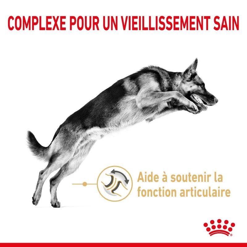 ROYAL CANIN Berger Allemand Adult 5+ 3kg 6 ROYAL CANIN Berger Allemand Adult 5+ 3kg – Image 4