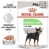 ROYAL CANIN CCN Digestive Care Pâté 12x85g -L'effet animalerie de la maison. fre pl ROYAL CANIN CCN Digestive Care Pate 12x85g 10093 1
