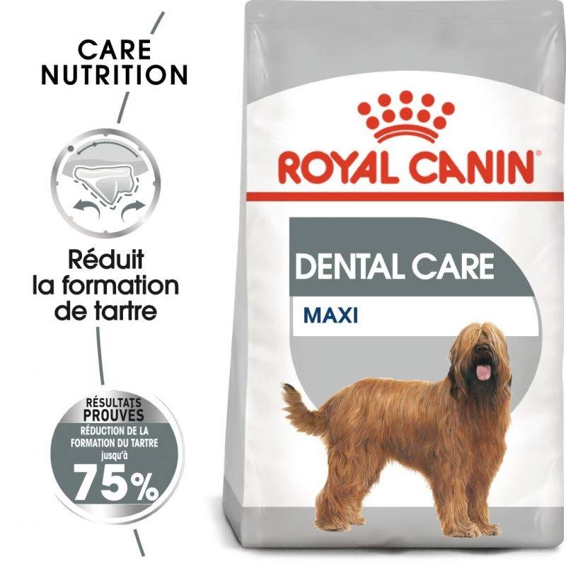 ROYAL CANIN CCN Maxi Dental Care 3kg + ORIJEN Original Chien 340g GRATUIT 3 ROYAL CANIN CCN Maxi Dental Care 3kg + ORIJEN Original Chien 340g GRATUIT